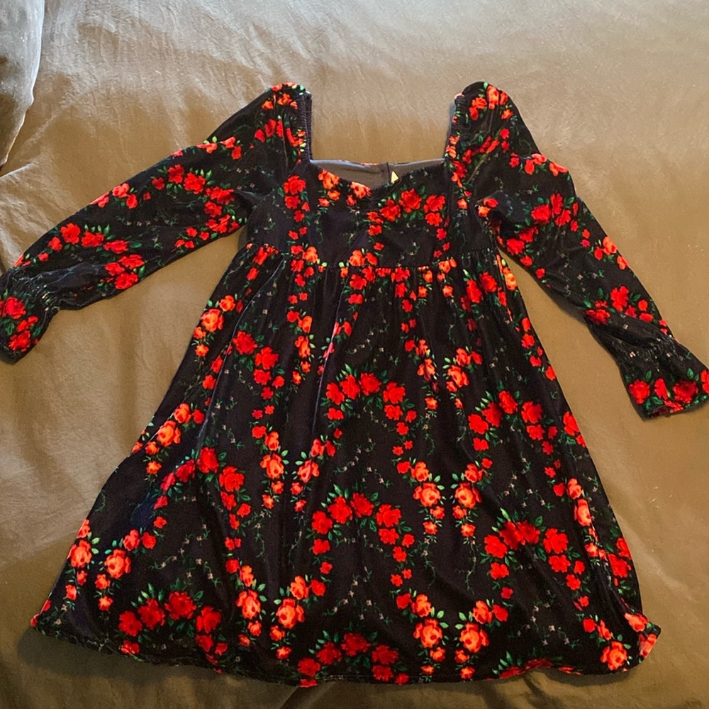 Janie and Jack velvet dress